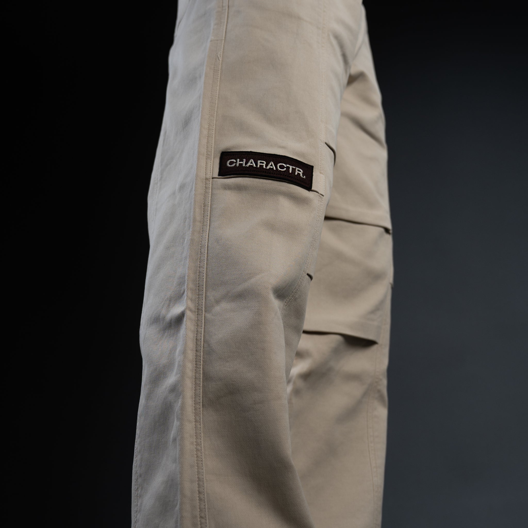 Charactr Cargo Pants